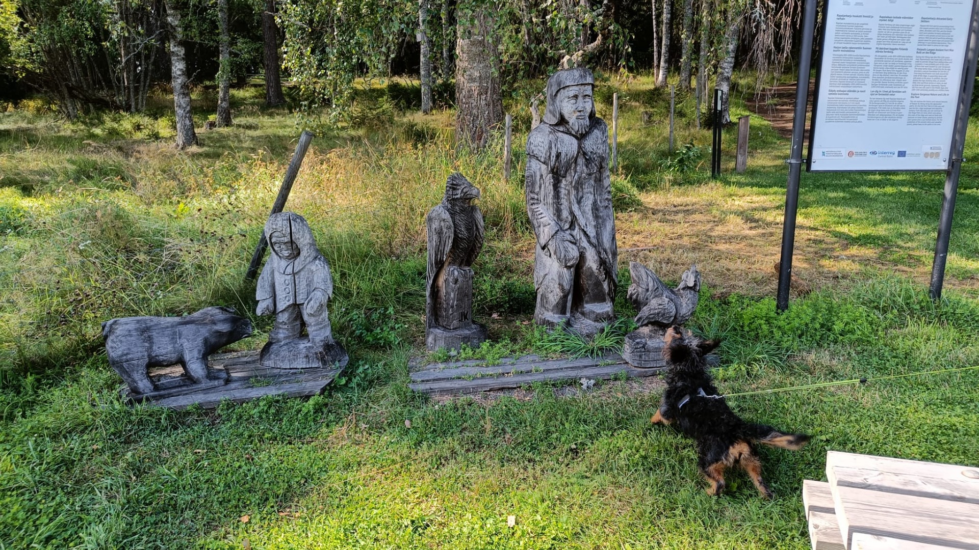 Ukko saa haukut
